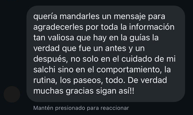 Mensaje de un dueño agradeciendo por la guía de cuidados
